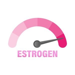 Estrogen