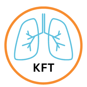 Kidney Function Test (KFT)