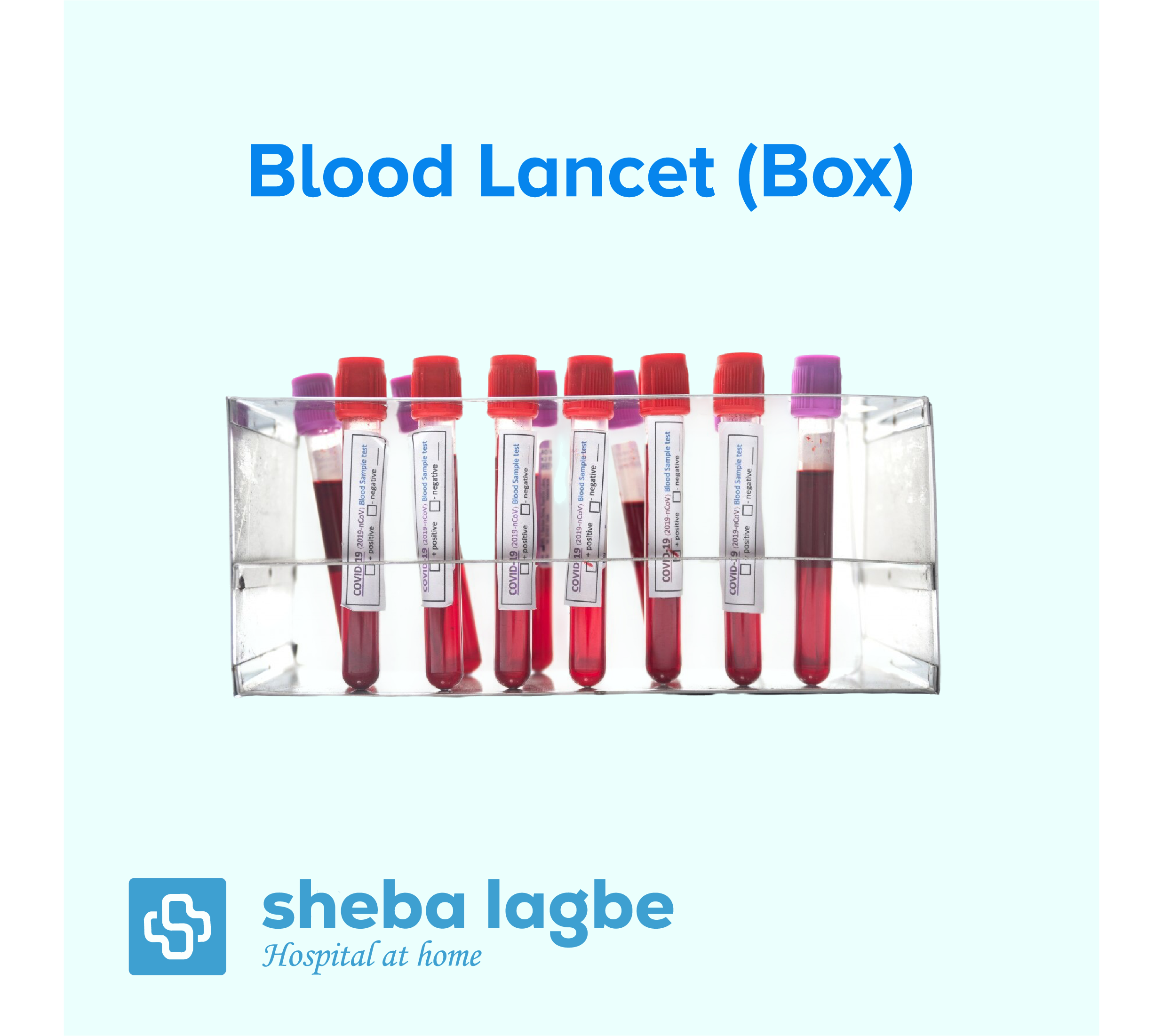 Blood Lancet (Box)