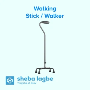 Walking Stick / Walker